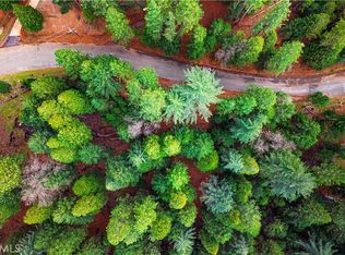 5435 Pine Ridge Dr #149, Grizzly Flats, CA