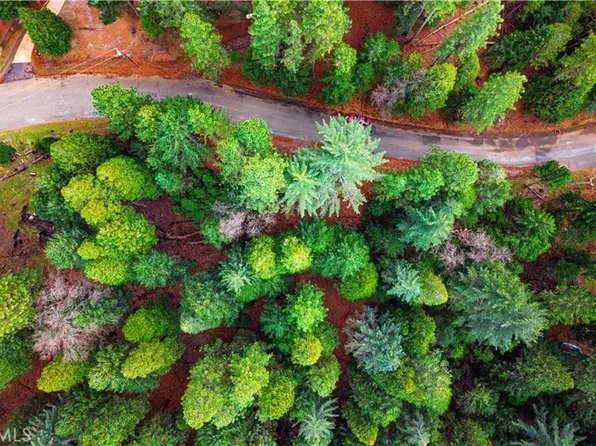 5435 Pine Ridge Dr #149, Grizzly Flats, CA 95636