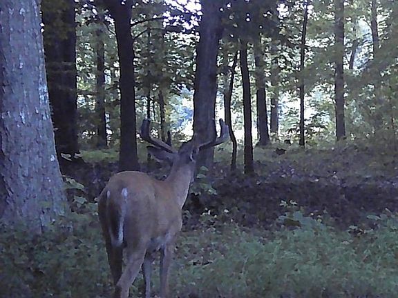 4th image of 1925 Allen Rd