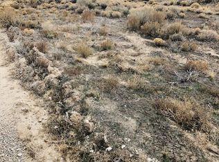 Pickering Ave, Spring Creek, NV 89815