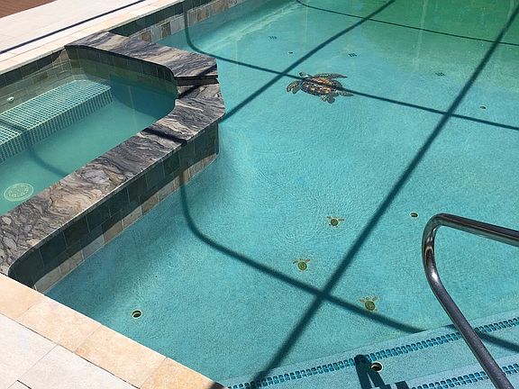 Pool with Turtle