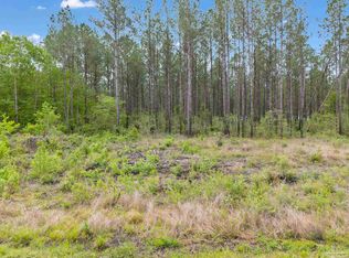 LOT 7 Mineral Springs Rd, Jay, FL 32565
