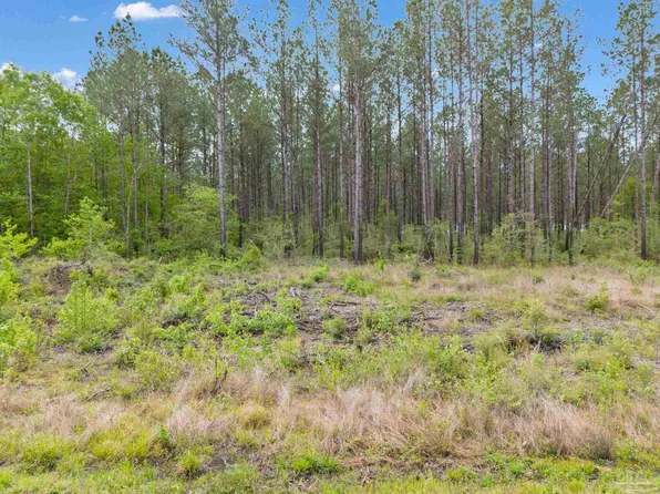 LOT 19 Mineral Springs Rd, Jay, FL 32565