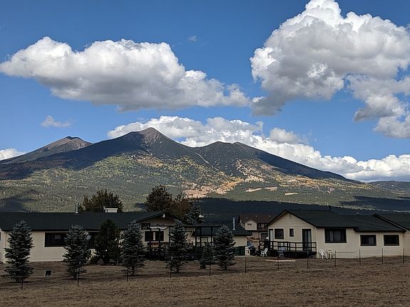 Views from back porch