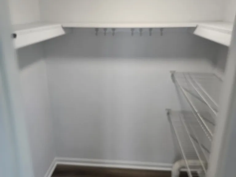 Primary bedroom closet