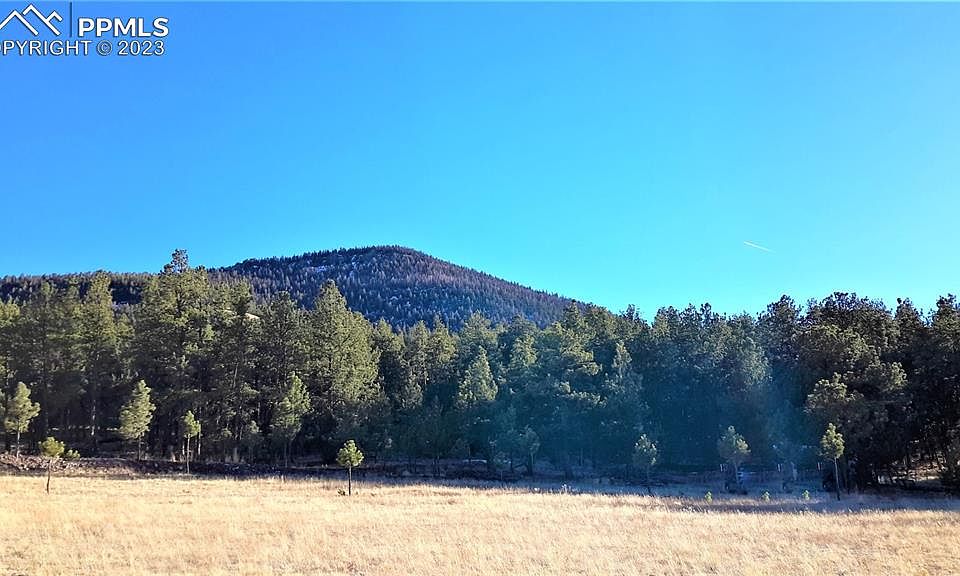 9048 County Road 102, Guffey, CO 80820 MLS 4896036 Zillow