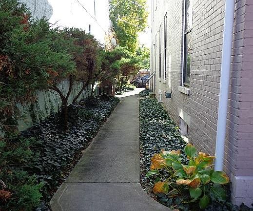 Walkway to Your Private Entrance! An outdoor patio has been added for shared use with downstairs Tenant!