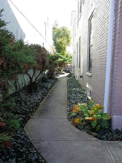 Walkway to Your Private Entrance! An outdoor patio has been added for shared use with downstairs Tenant!