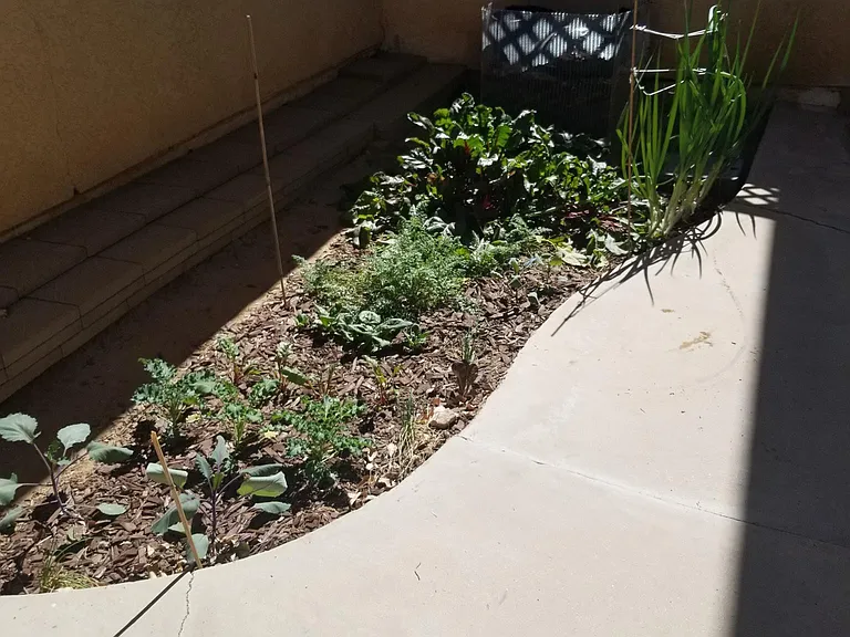 12745 Navajo Rd #2 — Photo 14