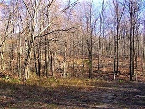 1st image of 480 Mountain Rd