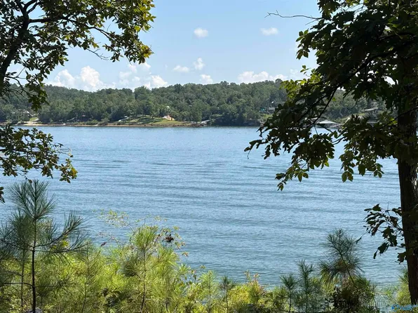 Big Bear Branch Rd, Double Springs, AL 35553