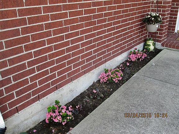 Enjoying planting pretty flowers all year long.