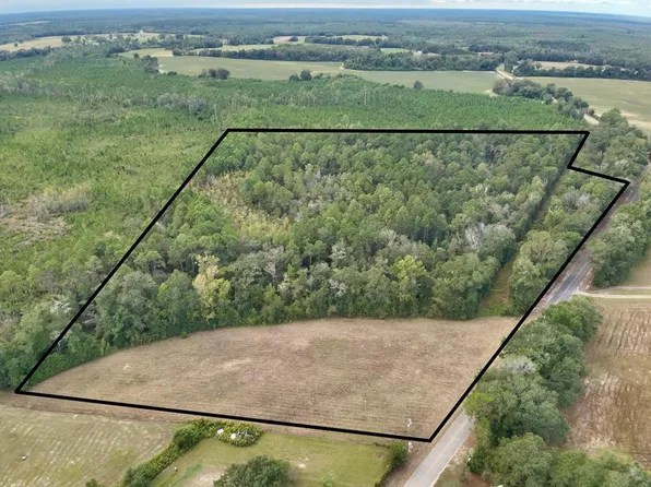 Mount Zion Rd, Cottonwood, AL 36320