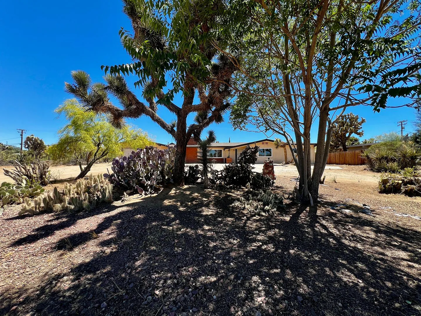 56769 Joshua Dr — Photo 3