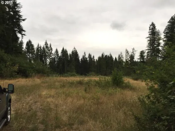 0 NE 266th St, Battle Ground, WA 98604