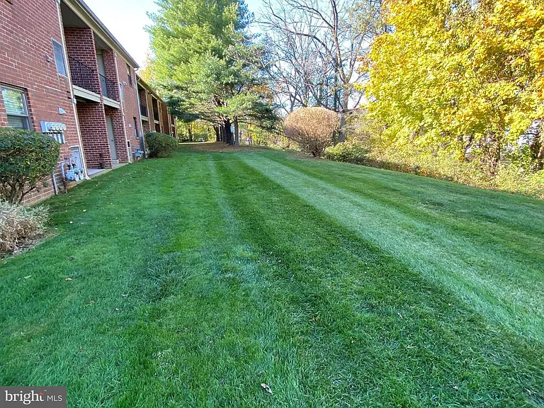 1155 York Rd — Photo 3