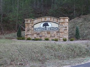 55 Chestnut Mountain Rd, Blairsville, GA 30512