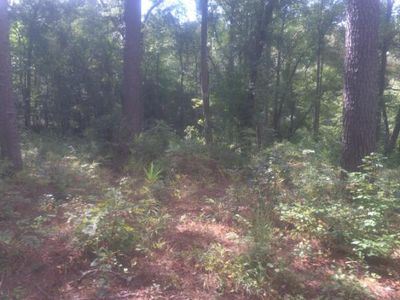 TBD COUNTRY CLUB Road, Edgefield, SC, 29824