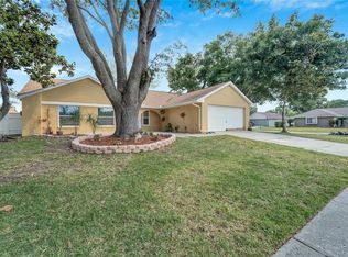 5101 Garden Vale Ave, Tampa, FL 33624