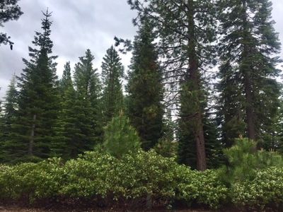 314 Alpine Fir Rd, Westwood, CA, 96137