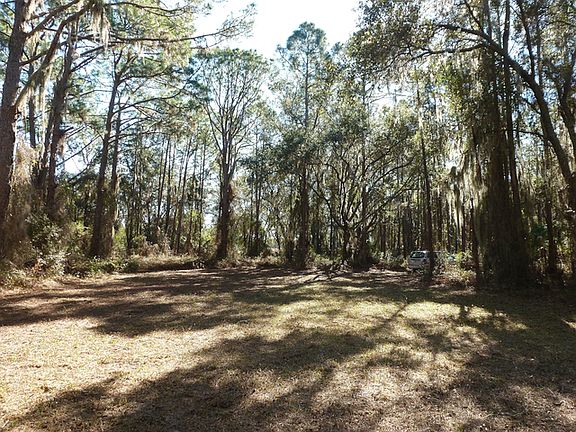 Cleared area for home site