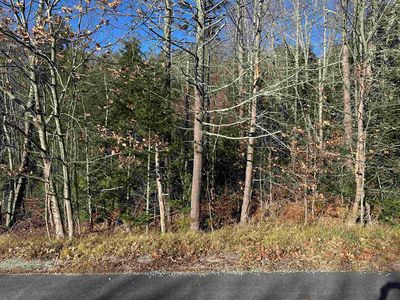 Lot 5 Timmothy Road, Sunapee, NH, 03782