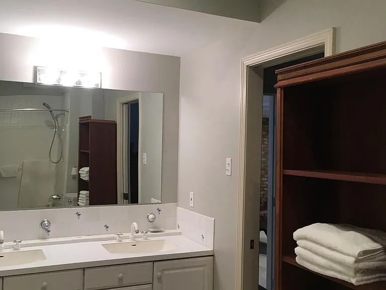 In-law suite master bathroom