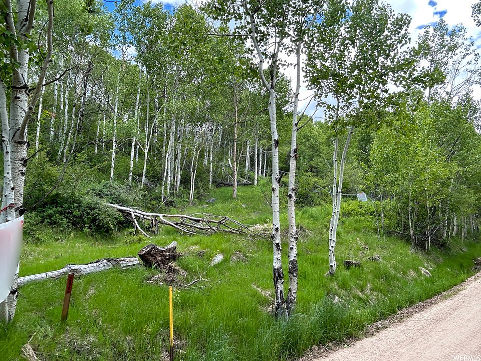 5449 E Colter Rd N, Oakley, UT 84055 MLS 1885552 Zillow