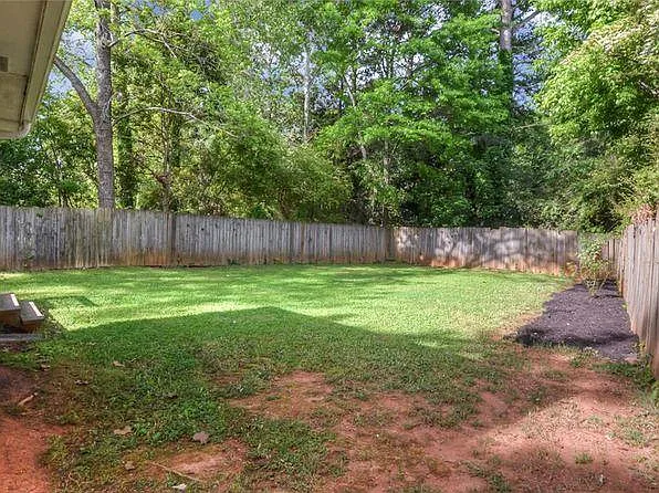 Back yard
