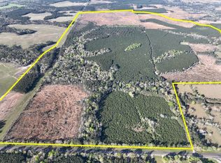 146 Highway, Livingston, TX 77351