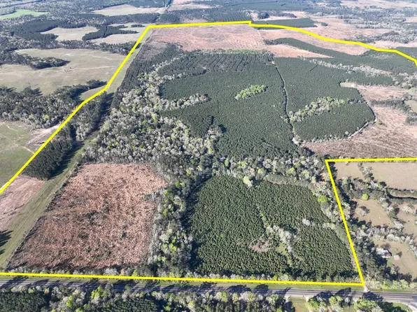 146 Highway, Livingston, TX 77351