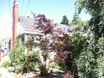 8533 Latona Ave NE, Seattle, WA, 98115
