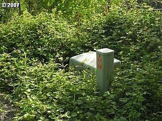 5th image of 150 Creek Woods Dr