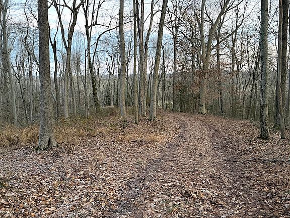 5th image of Hornback Ln Lot Wp001