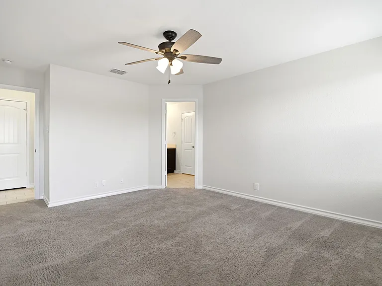 15441 Cooks Petrel — Photo 13