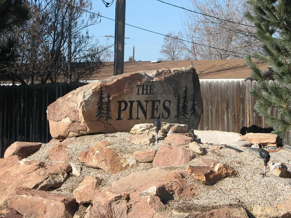 The Pines