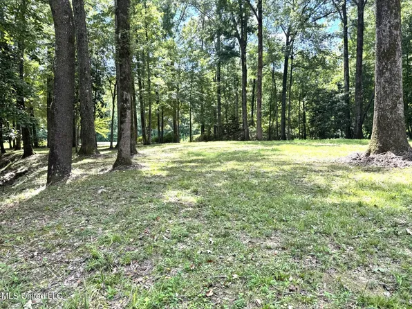 46 Fairway Dr Lot 14, Natchez, MS 39120