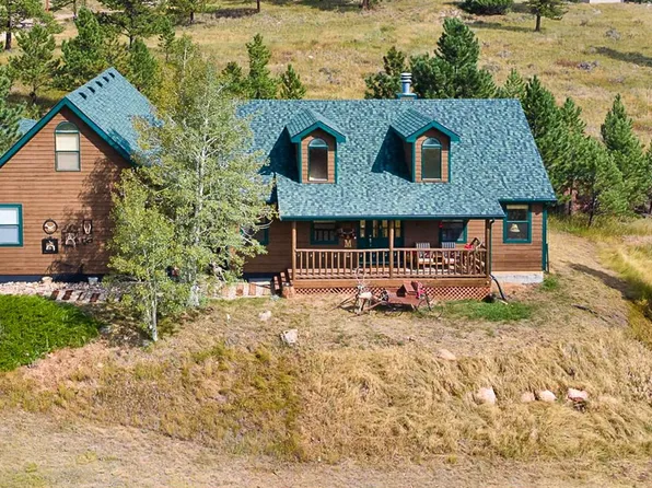 98 Deadhorse Mountain Ct, Livermore, CO 80536