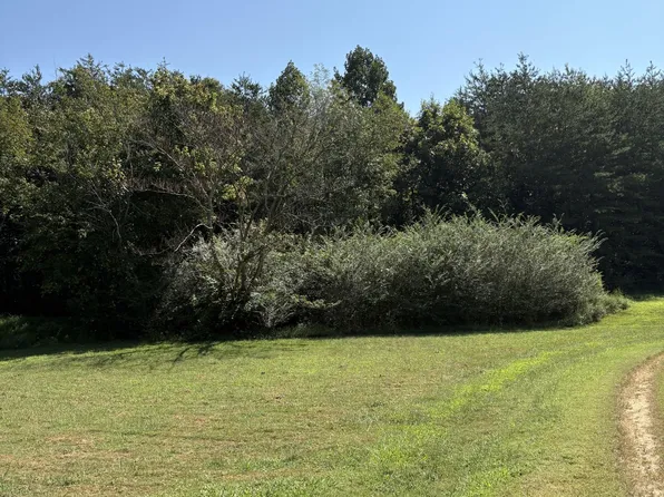 0 John Kirkland Rd Lot 2, Tellico Plains, TN 37385
