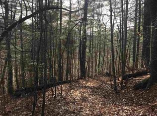 0 Lamb Rd, Dillard, GA 30537