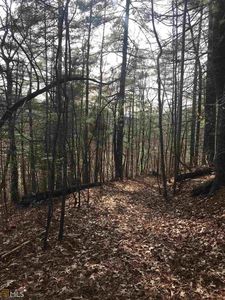 0 Lamb Rd, Dillard, GA, 30537