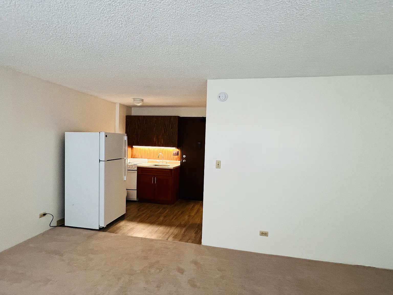 Studio, 369 sqft, $1,475 — Photo 3