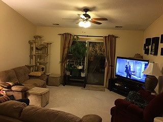 Main room