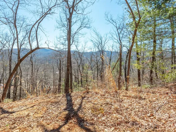 107 Bartram Way, Black Mountain, NC 28711