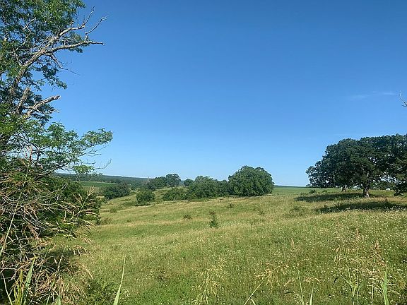 Pasture