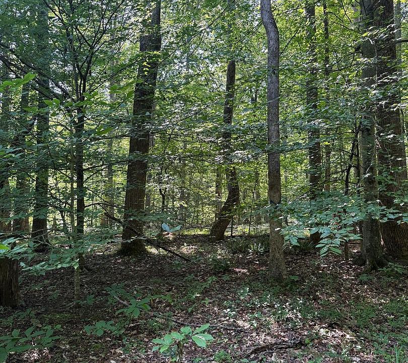 2nd image of Cat Creek Rd