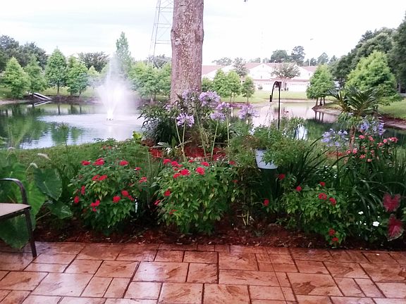 View of pond from patio