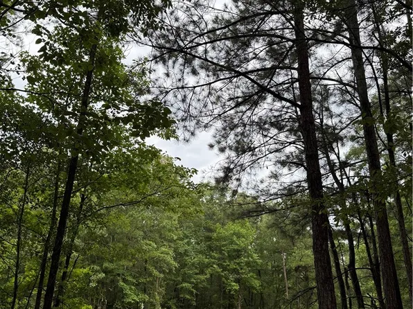 0 Highway 188, Waverly, AL 36879