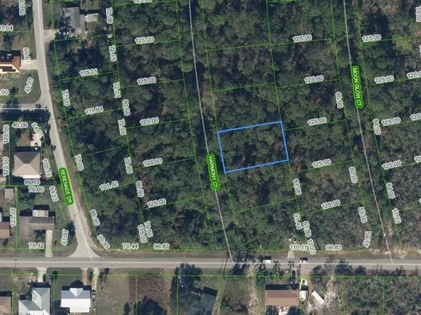 209 Harmony Ct, Lake Placid, FL 33852