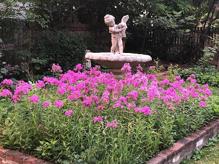 Garden.